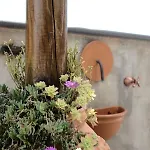 Dame Casa Ferienhaus