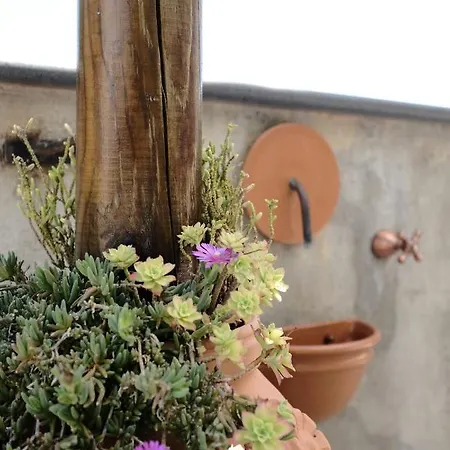 Dame Casa Casa de Férias